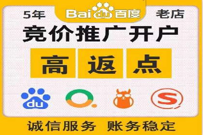 百度推广费用策略在竞争激烈市场的应用案例
